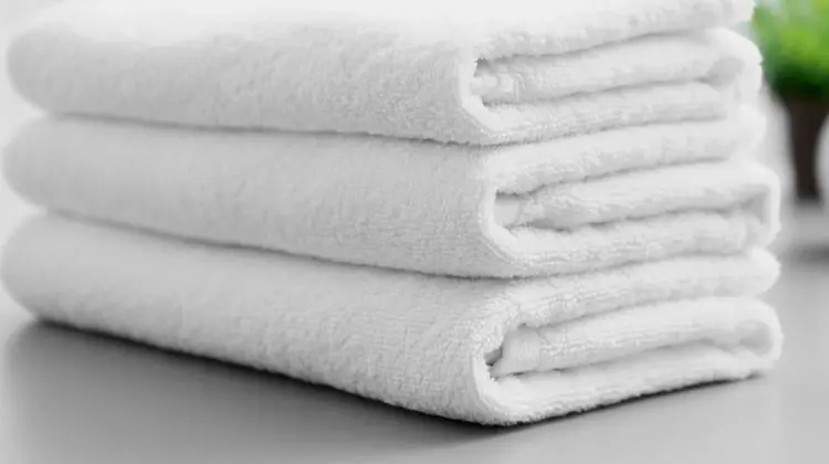 Comfort Apart Daire, Deniz Manzaralı