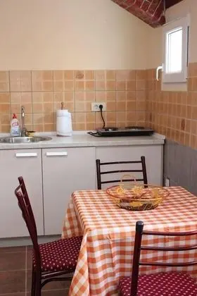 Basic Stüdyo