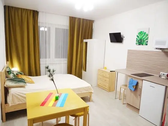 Grand Apart Daire, 1 Çift Kişilik Yatak ve Çekyat