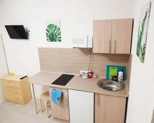 Grand Apart Daire, 1 Çift Kişilik Yatak ve Çekyat