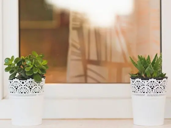 Apart Daire Capacity 4