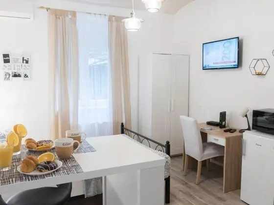 Stüdyo (Deluxe Studio Apartment)