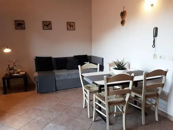 Apart Daire, 1 Yatak Odası