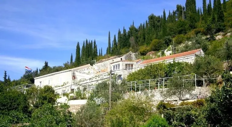 Apart Daire (Two-Bedroom Apartment with Terrace)