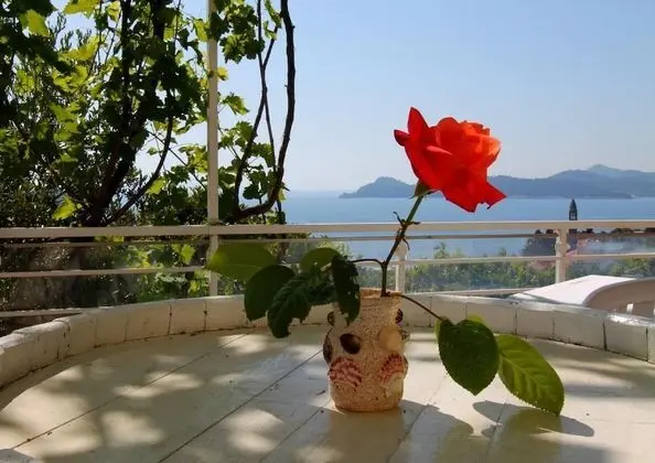 Stüdyo (Studio Apartment with Sea View)