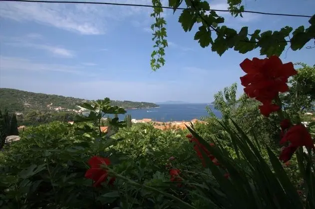 Stüdyo (Studio Apartment with Sea View)