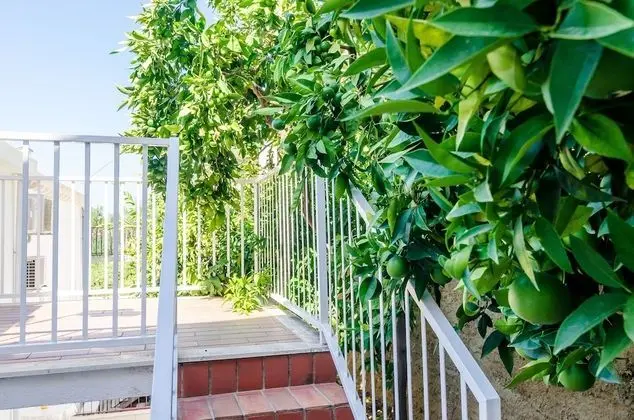 Apart Daire (One Bedroom Apartment with Terrace an)