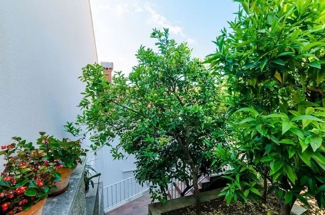 Stüdyo (Studio Apartment with Sea View)