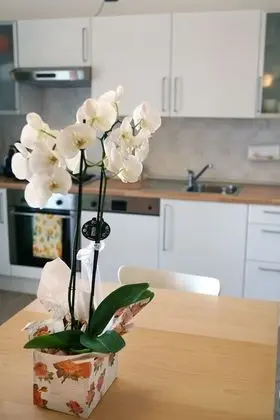 Apart Daire, 2 Yatak Odası, Veranda