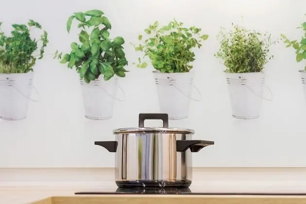 Apart Daire, 1 Yatak Odası, Teras