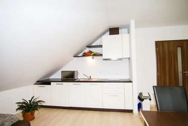 Standard Apart Daire, 1 Yatak Odası, Mutfak