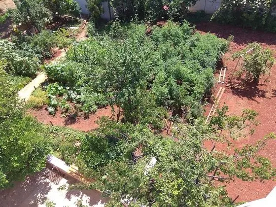 Apart Daire, 2 Yatak Odası, Balkon