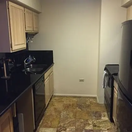 Superior 1 Bedroom, 1 Bath, 1 King bed, 1 Double Murphy bed, Balcony, Kitchen