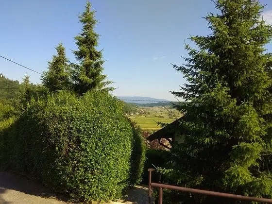 Family Apart Daire, 2 Yatak Odası