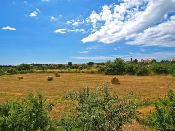 Apart Daire, 1 Yatak Odası (1002/3282)