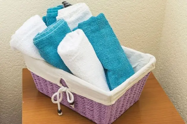 Standard Apart Daire, 1 Yatak Odası, Teras (A2)