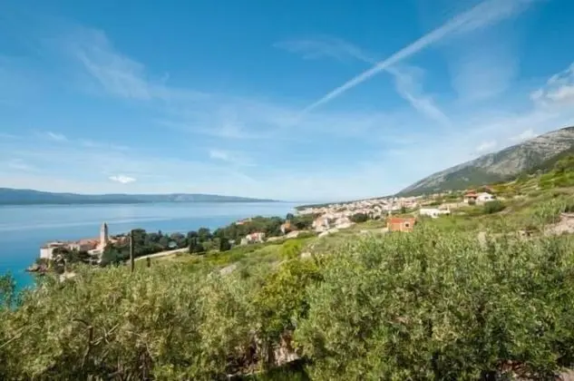 Apart Daire (Standard One Bedroom Apartment with S)