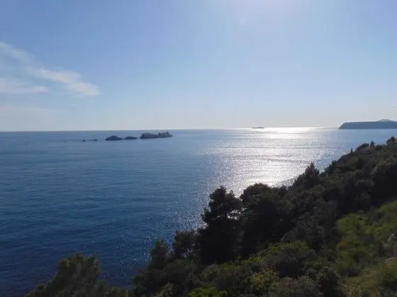 Apart Daire (One-Bedroom Apartment with Terrace)