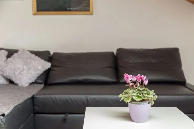 Standard Çatı Katı (Loft)