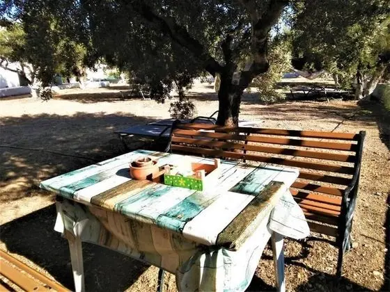 Apart Daire, 1 Yatak Odası, Veranda