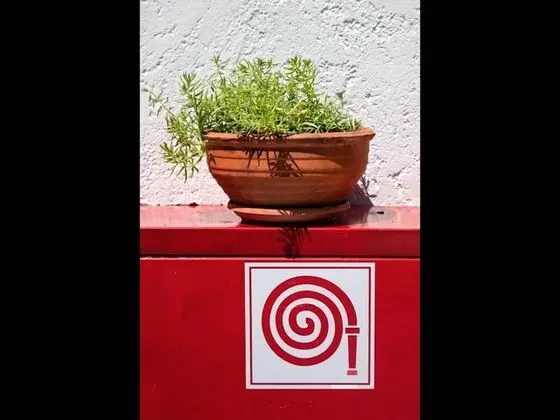 Apart Daire, 1 Yatak Odası, Veranda