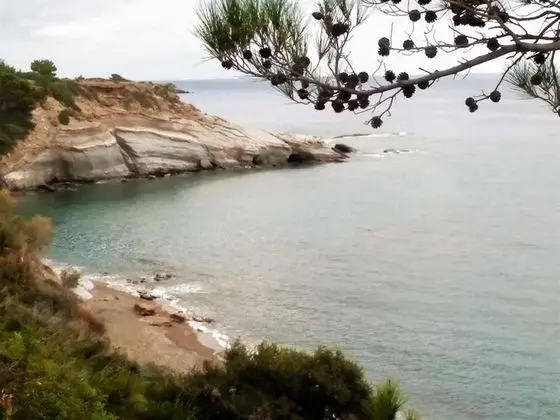 Apart Daire, 1 Yatak Odası, Veranda