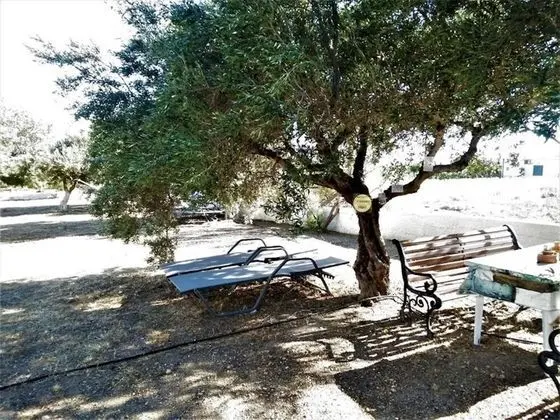 Apart Daire, 1 Yatak Odası, Veranda