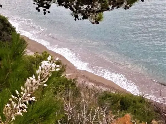 Apart Daire, 1 Yatak Odası, Veranda