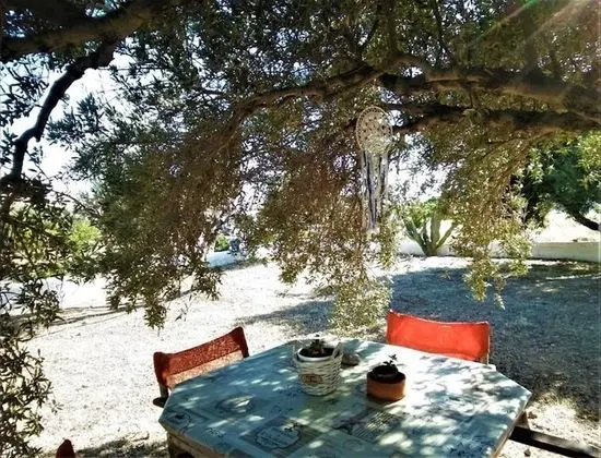 Apart Daire, 1 Yatak Odası, Veranda