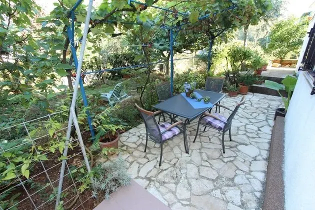 Apart Daire, 1 Yatak Odası, Teras