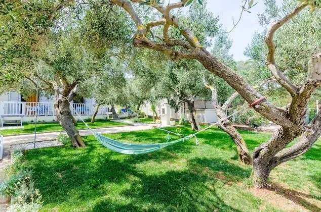 Apart Daire (One Bedroom Apartment with Balconies)