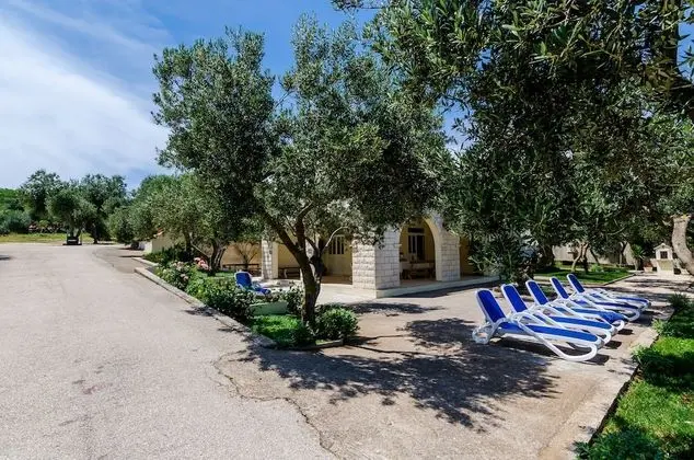 Apart Daire (One Bedroom Apartment with Balconies)