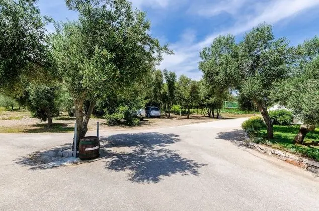 Apart Daire (One Bedroom Apartment with Terrace)