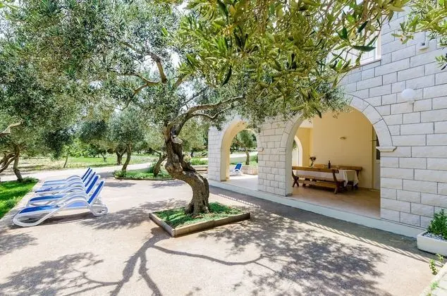 Apart Daire (One Bedroom Apartment with Terrace)