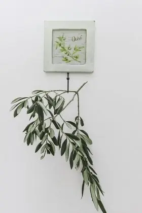 Apart Daire, 3 Yatak Odası, Deniz Manzaralı (Olive)