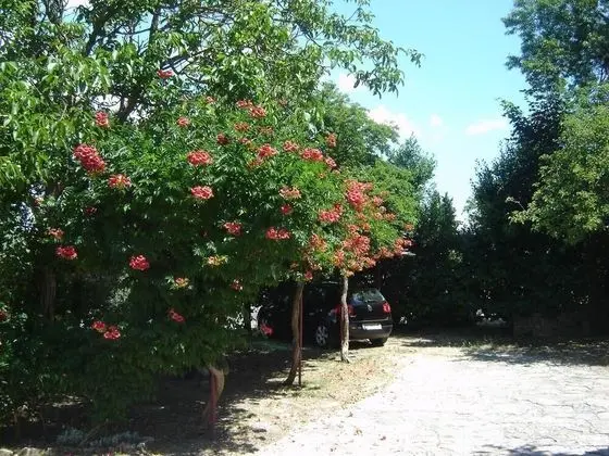 Apart Daire, 3 Yatak Odası, Balkon