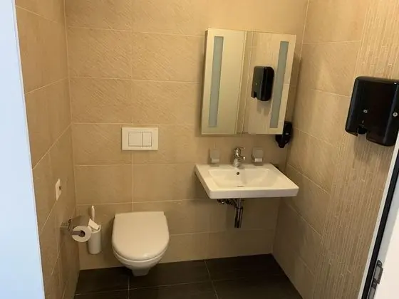 Business Tek Kişilik Oda, 1 Yatak Odası, Engellilere Uygun, Ortak Banyo
