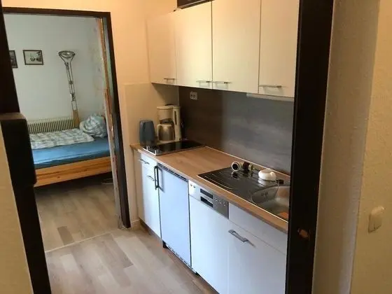 Dubleks, 1 Yatak Odası, Balkon, Dağ Yamacı