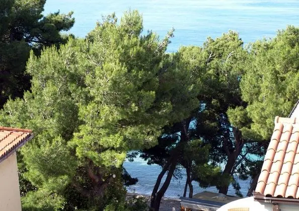 Stüdyo Süit, Deniz Manzaralı, Denize Sıfır