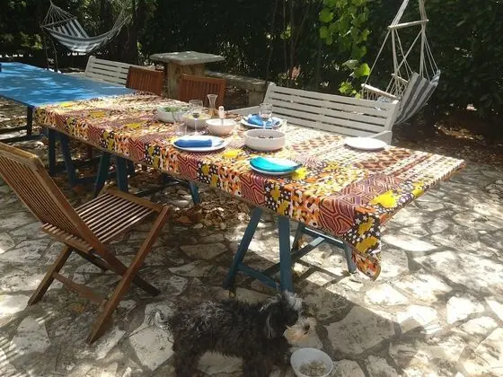 A1- Apartment with garden