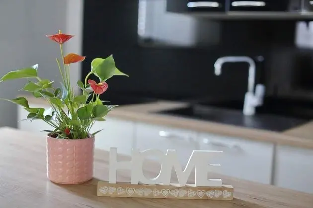 Apart Daire Capacity 6