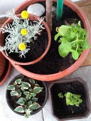 Apart Daire, 1 Yatak Odası, Balkon, Deniz Manzaralı