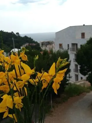 Apart Daire, 1 Yatak Odası, Balkon, Deniz Manzaralı
