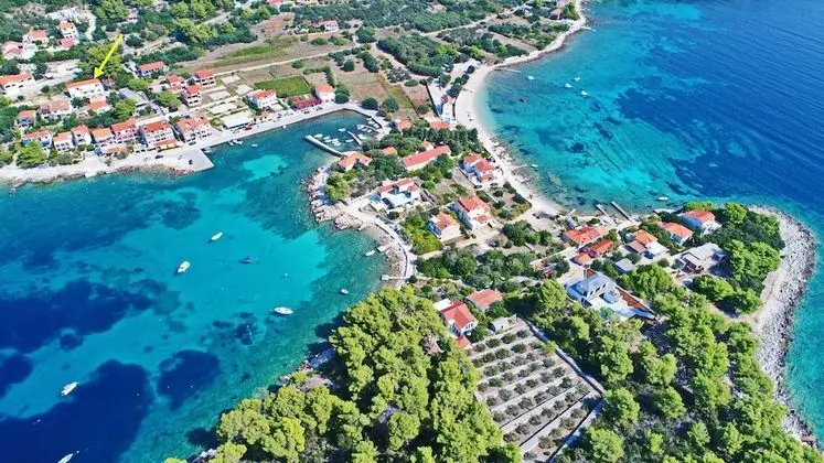 Apart Daire (One Bedroom Apartment)