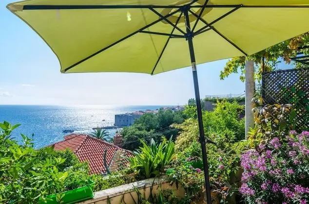 Superior Stüdyo, Teras