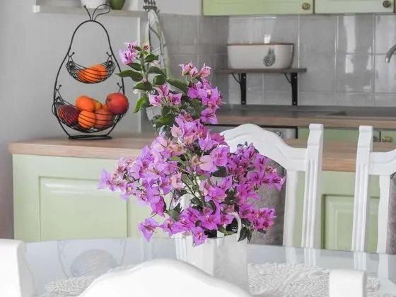 Apart Daire (Two Bedroom Apt - Balcony,Sea View)