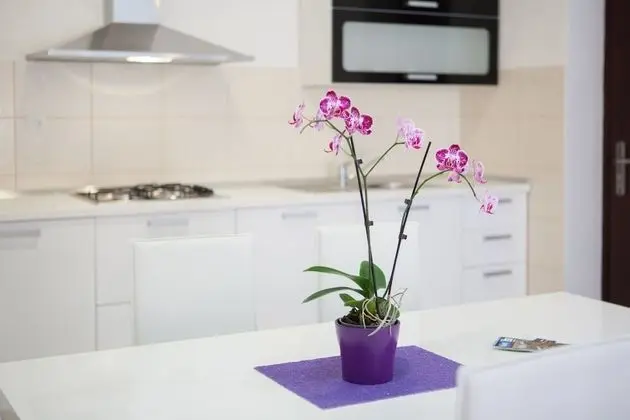 Apart Daire, 2 Yatak Odası, Teras, Bahçeli