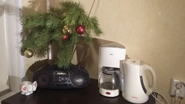 Basic Apart Daire, 2 Yatak Odası (4 persons)