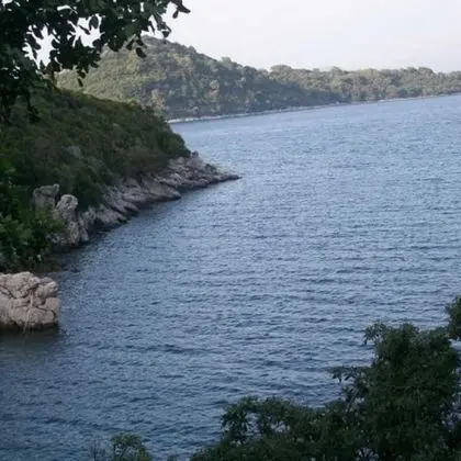 Tek Kişilik Oda (Comfort One Bedroom Apartment)