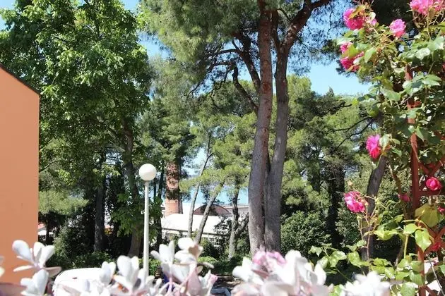 Apart Daire, 1 Yatak Odası, Teras